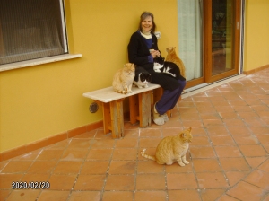 Marti and cats in Sicily