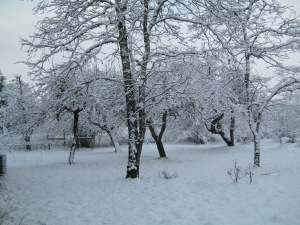 Late February snow